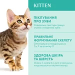 Сухий корм для кошенят Optimeal Kitten - курка - Зображення 3
